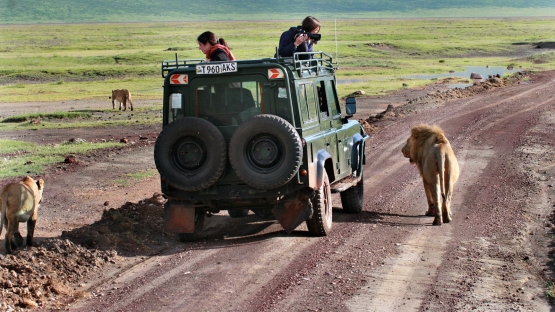 Unique Safari Experience