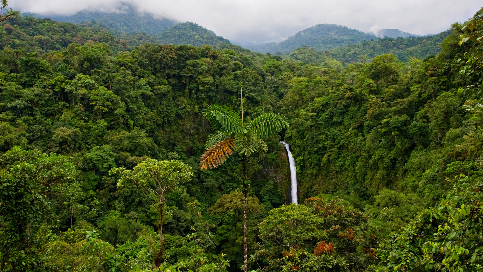 Essential Costa Rica