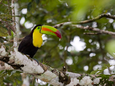 Manuel Antonio National Park