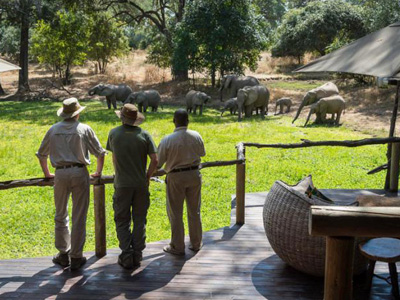 South Luangwa National Park
