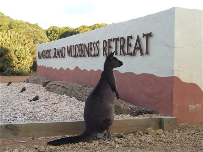 Kangaroo Island Wilderness Retreat