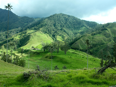 Bogota - Pereira - Quindio