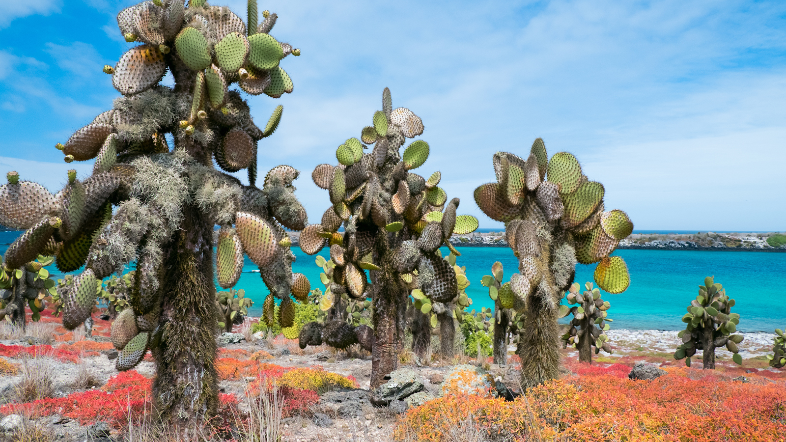 Galapagos Island Hopping Multi-Sport Program