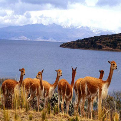 Lake Titicaca